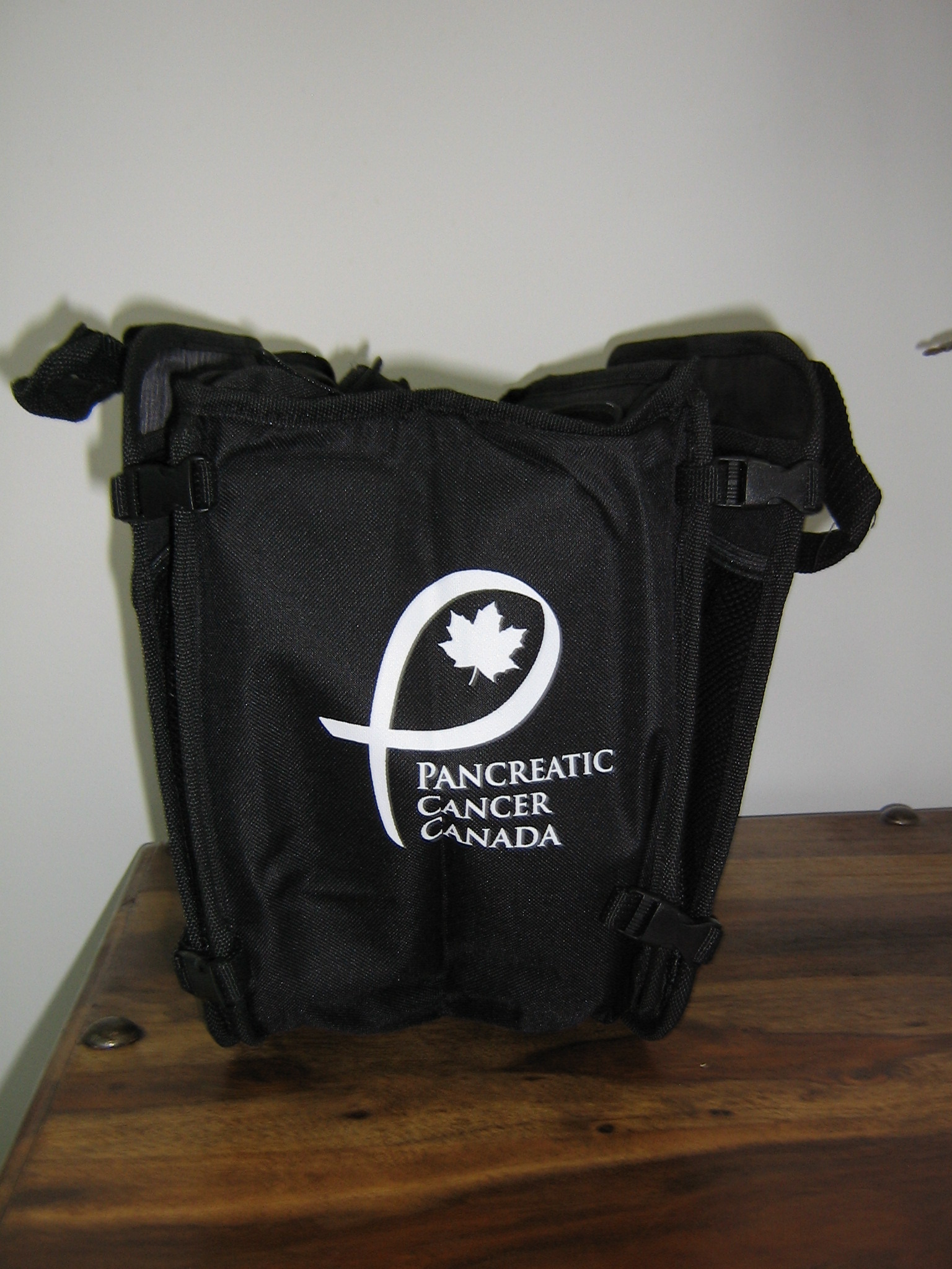 Car Organizer Bag 2