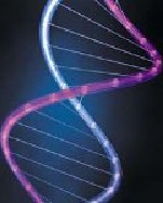 DNA strand
