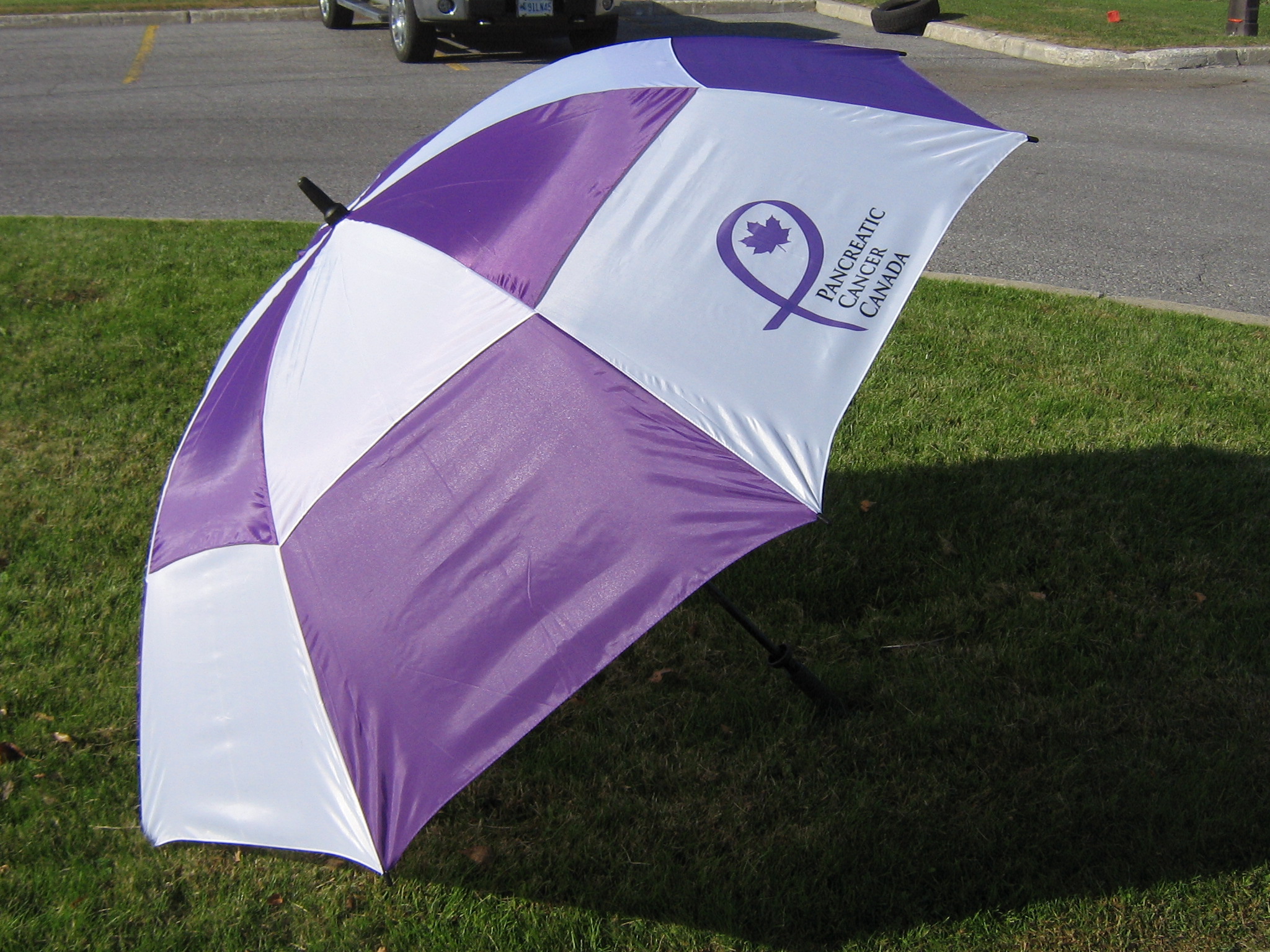 Umbrella