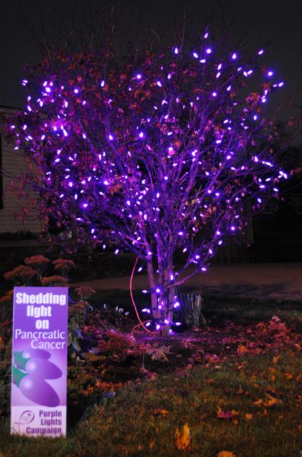 purple lights deb